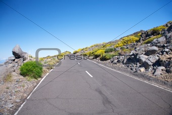 road at La Palma