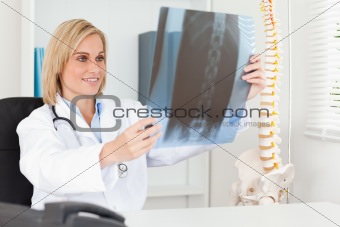 Charming doctor looking at x-ray