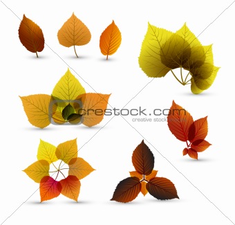 Autumn abstract leaf elements