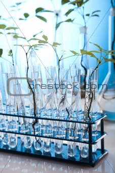 Science experiment and plants