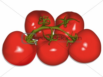 tomatoes against white