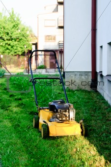 mower on the green lawn