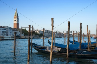 Gondolas and St Mark's Campanile, Venice, Italy