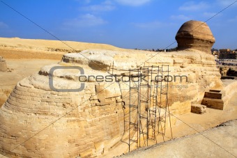 famous egypt sphinx in Giza from behind