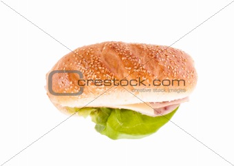 Sandwich, chicken, tomato onion sandwich