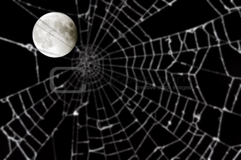 Full moon and blurred spider web