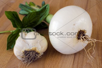Basil onion and garlic
