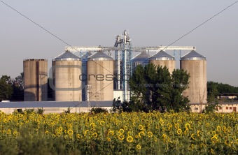 View of grain silos