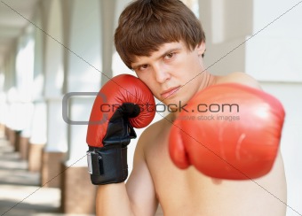 Close-up photo of a young boxer