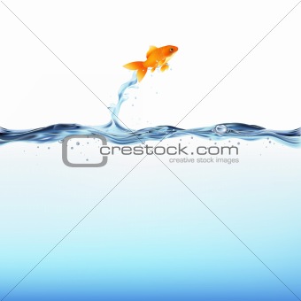 Goldfish And Water