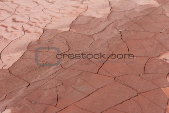 Cracked Mud Texture