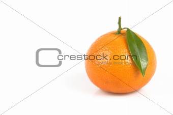 clemenvilla  Citrus clementina