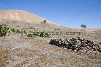 Arid landscape in Lanzarote