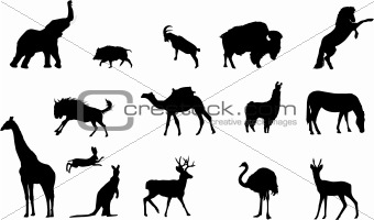 wild animals silhouettes