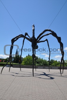 Giant Spider in Ottawa