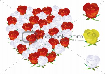 Vector illustration of a heart shape made from roses.
