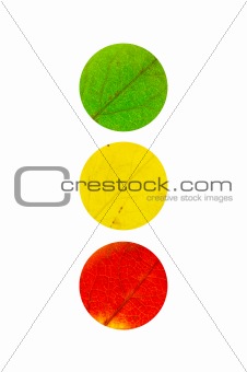 3 colored Leaves in the shape of traffic light