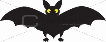 black big  bat