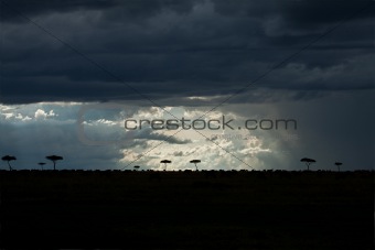Dramatic sky over Masai Mara