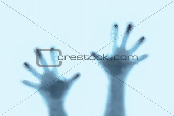 Hands Silhouettes