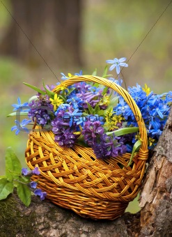 basket with a spring bouquet costs on a tree