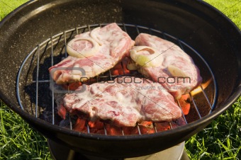  barbecue grill
