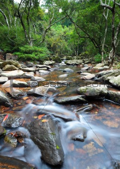 water spring in jungle