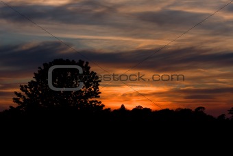 Sunset sky with trees