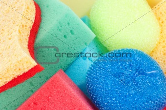 sponges close up