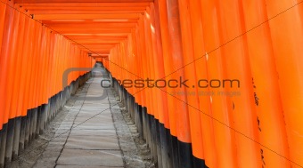 Fushimi Inari Shrine