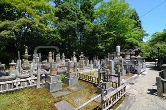 Ancient Japanese Cemetery