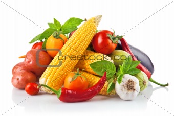 fresh vegetable with leaves