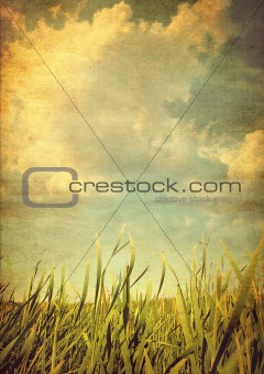 Retro photo meadows with grass