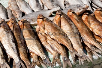 Stock fish