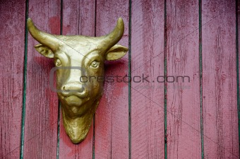 golden cow head on red wall