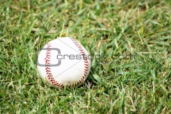 Baseball on the Grass