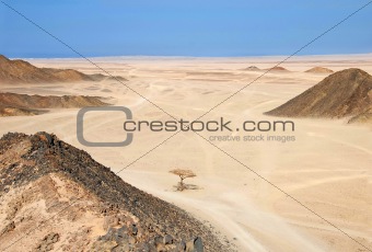 Egypt desert