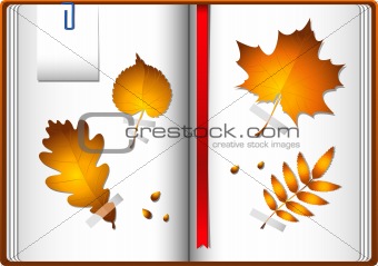 Autumn leaves in a notebook
