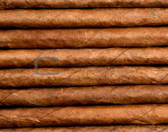 Cigars in a row close-up