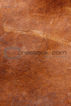 natural leather skin textured background