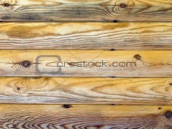Pine logs background