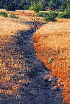 dried out river