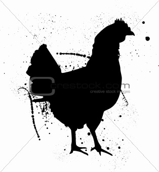 grungy chicken