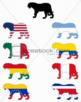 Jaguar flags