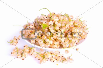 White currants lying on a plate