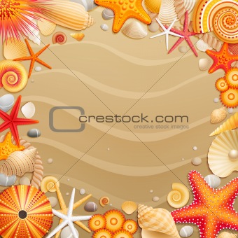 Shells and starfishes on sand background.