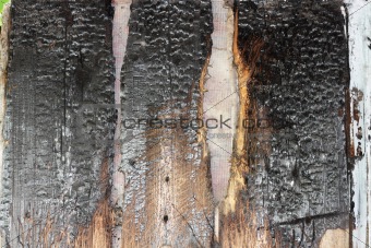 old wooden background of the advice after fire