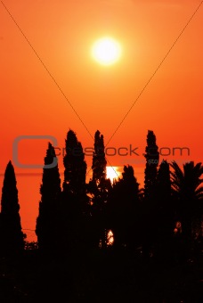 Orange sunset