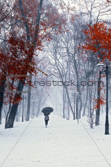 Snow walking