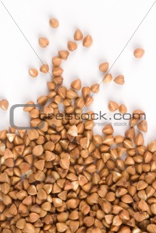 buckwheat